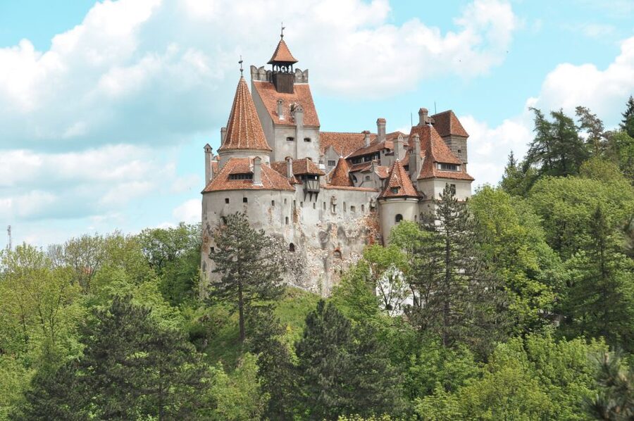 Bucharest: Dracula's Castle, Peles Castle, & Brasov Old Town - Who this tour fits best, and who should skip