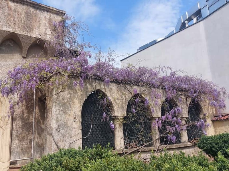 Bucharest: Hidden Gems 2.5-Hour Walking Tour - Who should book this tour, and who might skip it
