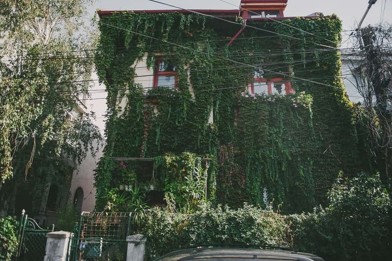 Bucharest: Hidden Gems 2.5-Hour Walking Tour - Ioanid block and Icoanei mahalla, finishing with strong visuals