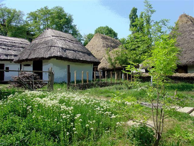 Bucharest: Private City Tour Guided Experience - Village Museum on Lake Herastrau: a rural timeline in about 30 acres