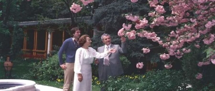 Bucharest: Private Last Days of Ceausescu Tour in a Dacia - Palatul Primăverii: A Private Residence Visit That Reframes Everything