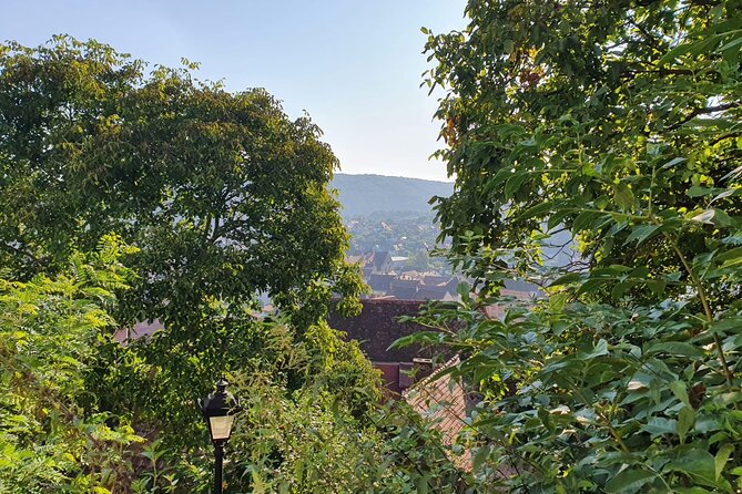 Bucharest Private Tour with Dracula's Grave and Ceaușescu Mansion - Key Highlights You Should Know