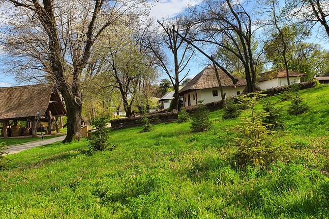 Bucharest Private Tour with Dracula's Grave and Ceaușescu Mansion - Who this tour is best for