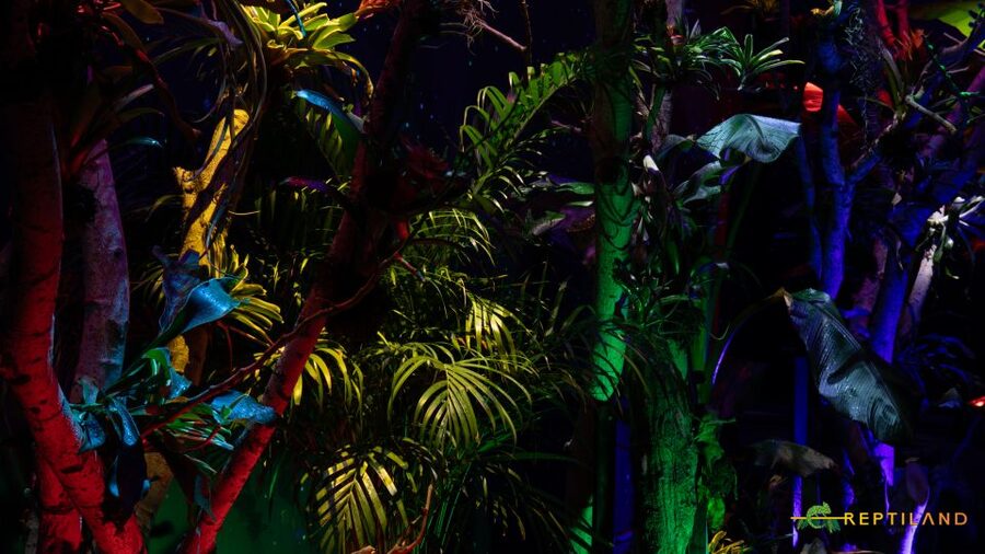 Bucharest: Reptiland Bucharest Entry Ticket - Why Reptiland Bucharest Feels Like a Rainforest in a City Expo Hall