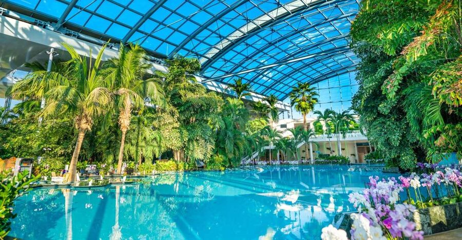Bucharest: Therme Bucharest Entry Ticket and Transfer - A spa day in Bucharest, without the hassle