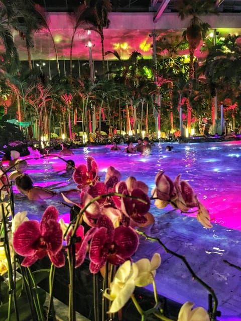 Bucharest: Therme Spa Night Experience with Transfer - Therme Bucharest at Night: Why 33°C Feels Even Better