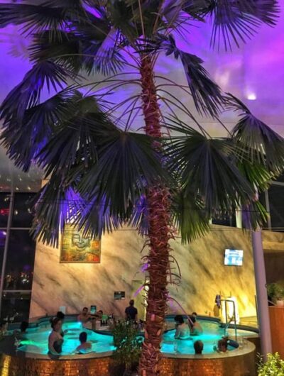 Therme Spa Night Experience with Transfer