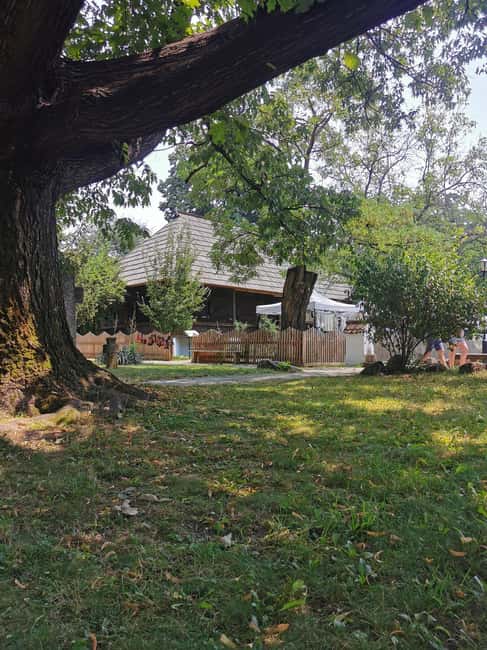 Bucharest: Village Museum Guided Tour - How the guided experience improves your understanding