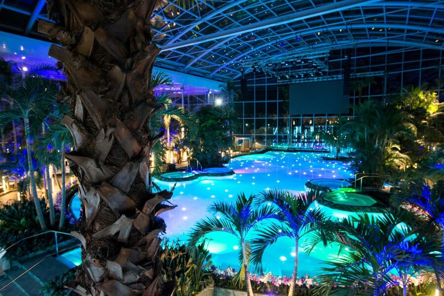 Bucuresti: Therme Bucharest Evening Entry Ticket & Transfer - Entering Light Therme Bucharest, a geothermal spa with a botanical garden feel