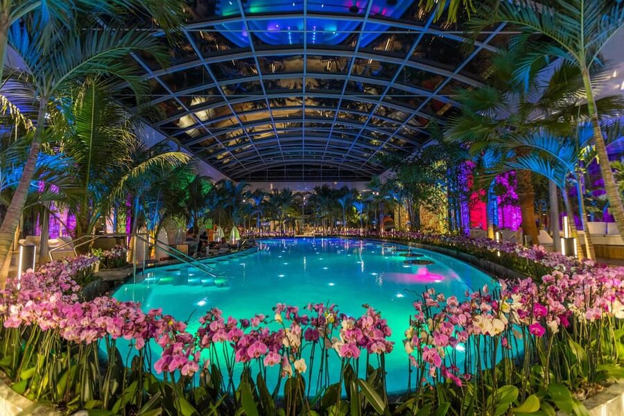 Bucuresti: Therme Bucharest Evening Entry Ticket & Transfer - Should you book this evening Therme Bucharest ticket with transfer?