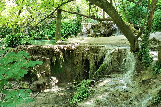 Bulgaria -Private Tour - Caves, Waterfalls, Hiking, National Park - Stop 2, Krushunskiye Waterfalls and the Walk Between Wooden Bridges