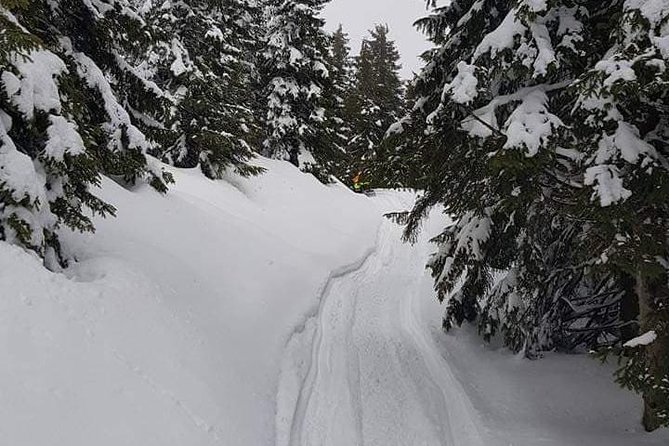 Carpathian mountains Snowmobile, ATV or Buggy tour in one day - Azuga mountain ride: snowmobiles in winter, ATV or buggy when snow is thin
