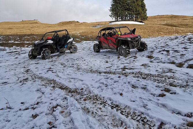 Carpathian mountains Snowmobile, ATV or Buggy tour in one day - Safety rules and who this tour fits (and who should skip it)