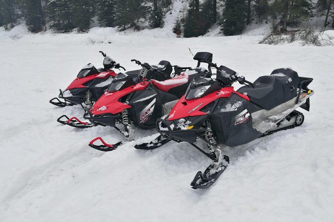 Carpathian mountains Snowmobile, ATV or Buggy tour in one day - Peleș Castle in one hour: what you can realistically do