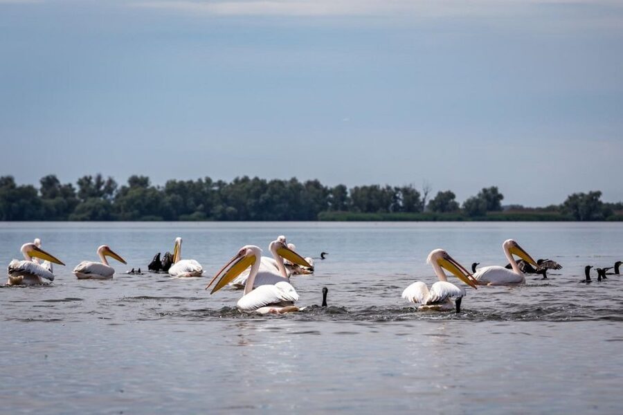 Danube Delta - 2-Day Tour from Bucharest - Constanta and Tulcea together, how the tour avoids a one-note day