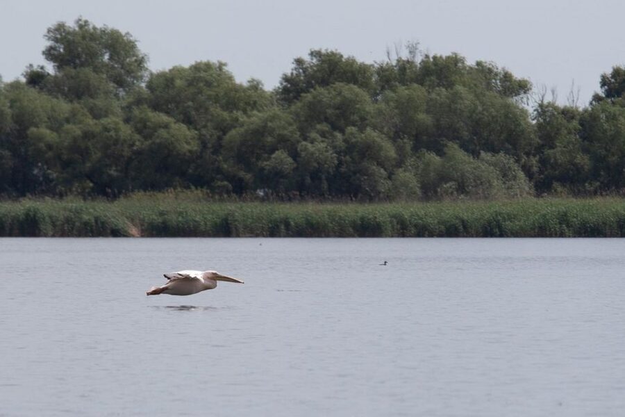 Danube Delta - 2-Day Tour from Bucharest - Where you sleep, what the included breakfast means for your morning