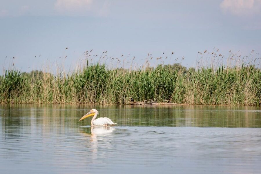 Danube Delta - 2-Day Tour from Bucharest - What to bring, what to skip, and who this tour fits best
