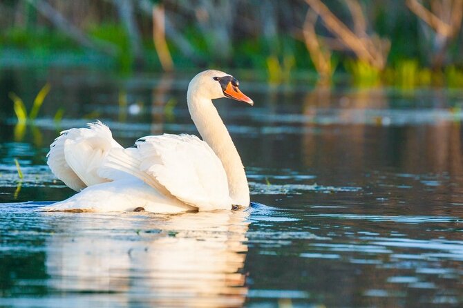 Danube Delta and Black See - 2 Days Private Tour from Bucharest - What this tour includes, and why the price can make sense