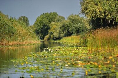 Day Trip from Bucharest to Danube Delta
