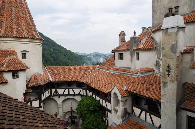 Dracula and Peles Castles Premium Tour with Hotel pick-up - Lunch Timing and Brasov Area Breaks: Eat Smart on a Long Day