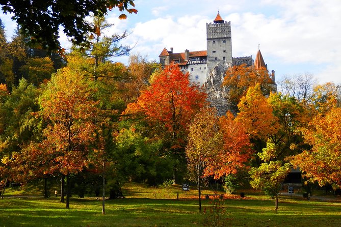 Dracula's Castle & Peles Palace Tour from Bucharest Including Brasov Old Town - Door-to-door pickup, private guide, and why it matters for value