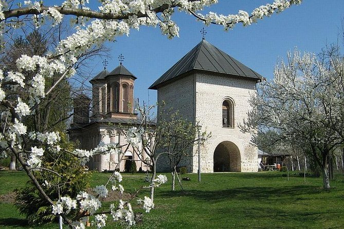 Dracula's Tomb and Mogosoaia Palace, Private Tour from Bucharest - Timing, Pace, and What a 4 to 5 Hour Day Really Means