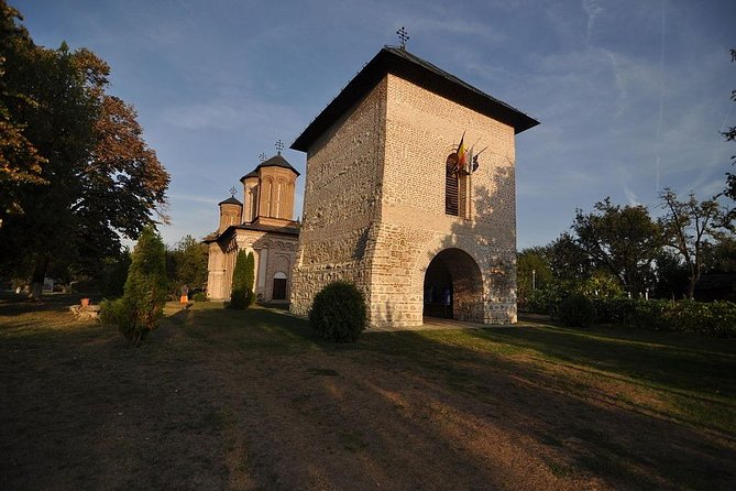 Dracula's Tomb and Mogosoaia Palace, Private Tour from Bucharest - Who This Tour Fits Best (And Who Might Want Something Different)