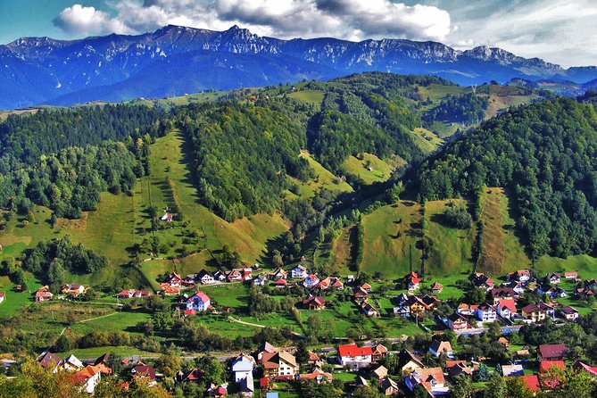 Explore Romania - 14 Days Private Guided Tour - Danube Delta: Speed-Boat Transfers, Boat Rides, and Wildlife Time