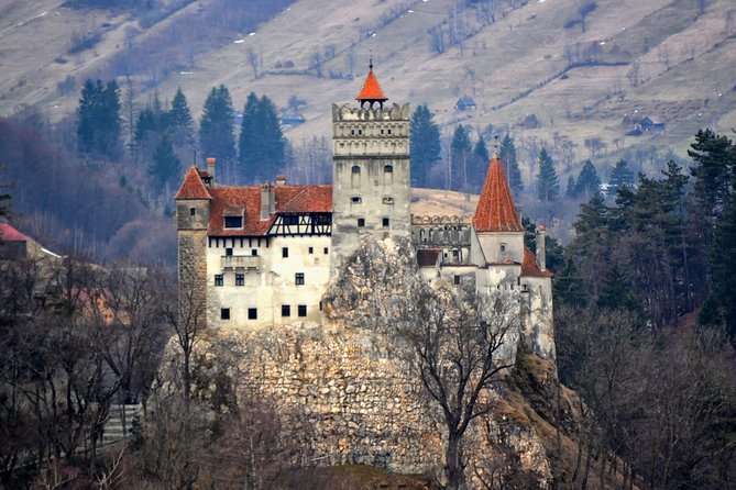 Explore Transylvania: Dracula, Peles Castle & Brasov Private Tour - Peles Castle in the Carpathians: The Royal-Residence Start