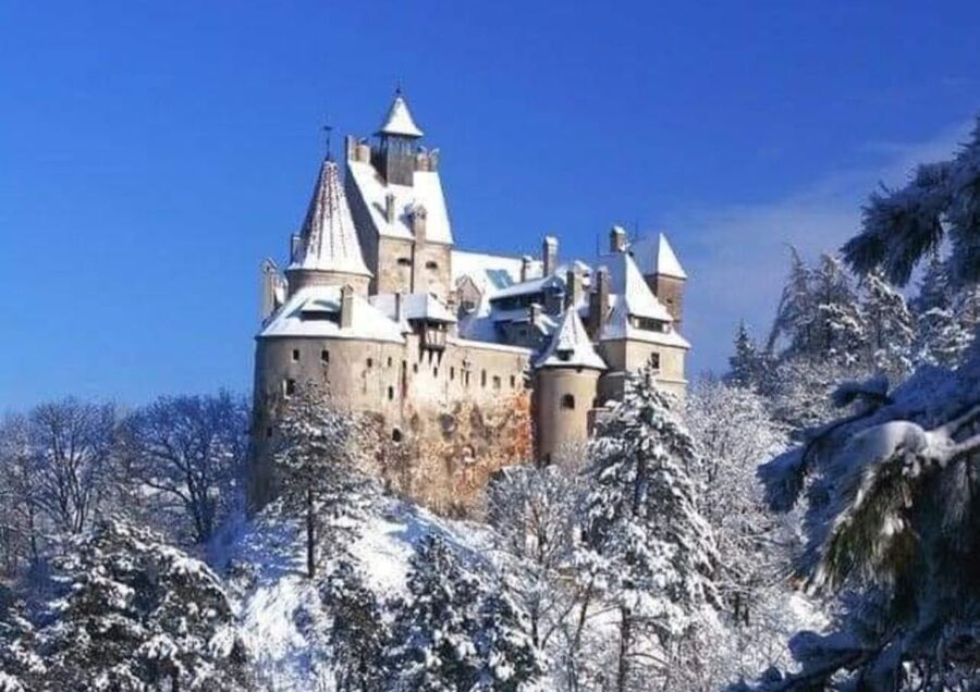From Bucharest: 2-Day Tour to Brasov and Sighisoara - Peleș Castle tickets, timing, and what happens when it’s closed