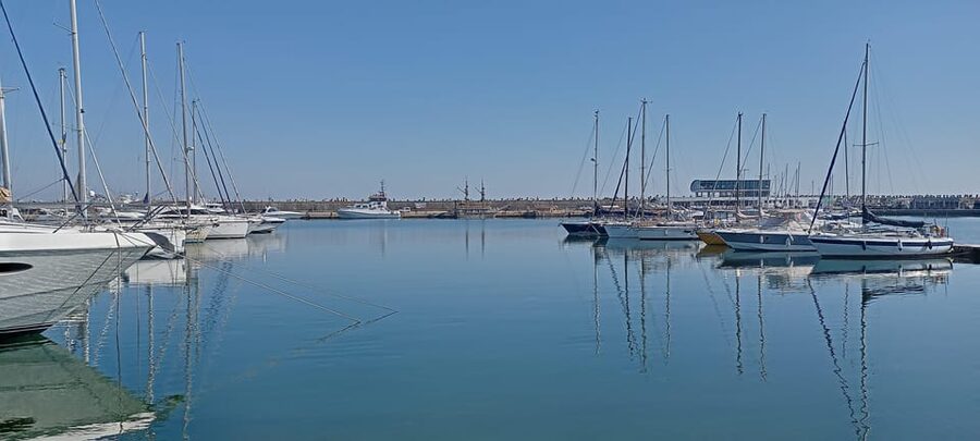 From Bucharest: Black Sea Constanța Day Tour - Private group style, what it means for your day