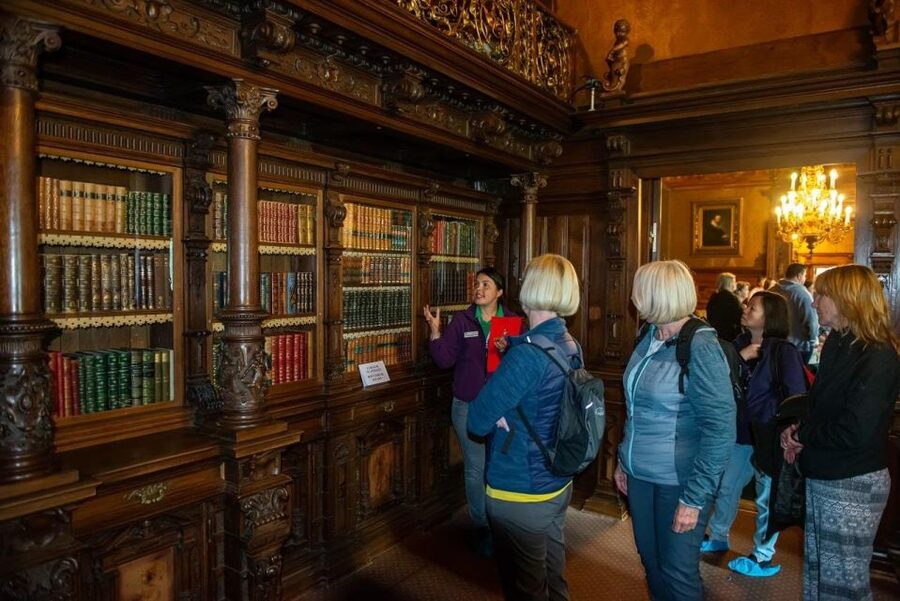 From Bucharest: Brasov Peles & Dracula's Castle Day Tour - Who this tour suits, and who should skip it