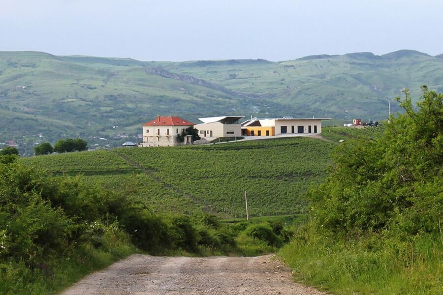 From Bucharest: Exclusive Dealu Mare Wine Tasting Tour - The Old Wine Road Drive and the 45th Parallel Climate Story
