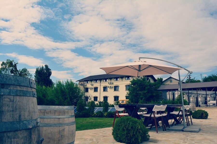 From Bucharest: Exclusive Dealu Mare Wine Tasting Tour - 1000 Chipuri Winery: Family Craft, Oak vs Steel, and Fetească Neagră