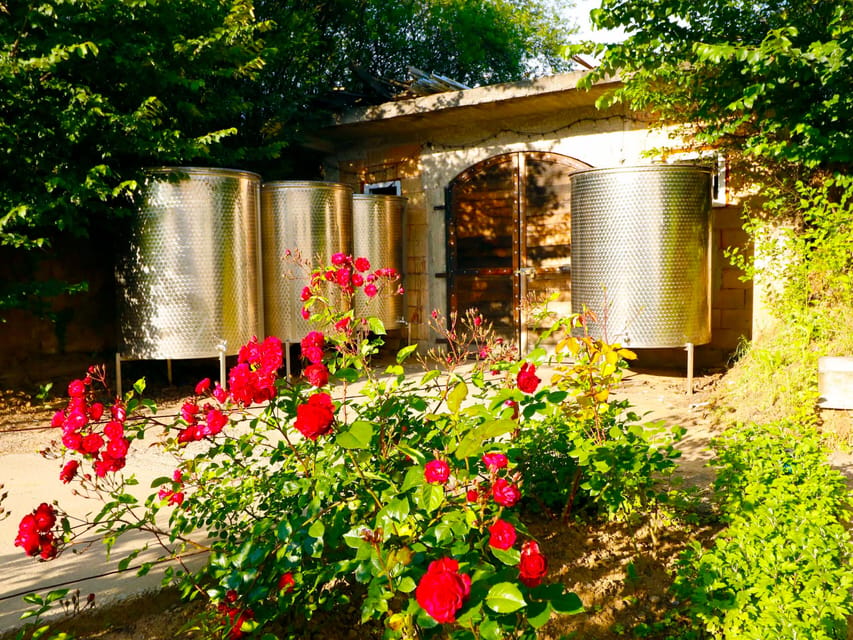 From Bucharest: Exclusive Dealu Mare Wine Tasting Tour - Guides You’ll Actually Like, From Mihai to Bogdan to Andrei