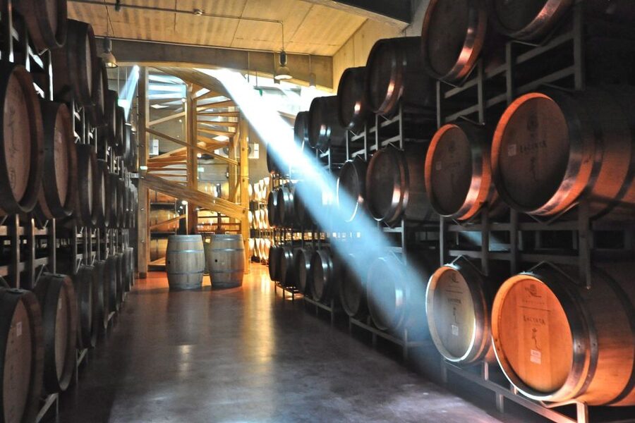 From Bucharest: Exclusive Dealu Mare Wine Tasting Tour - Price and Value for a Private Dealu Mare Wine Tasting Tour at $260