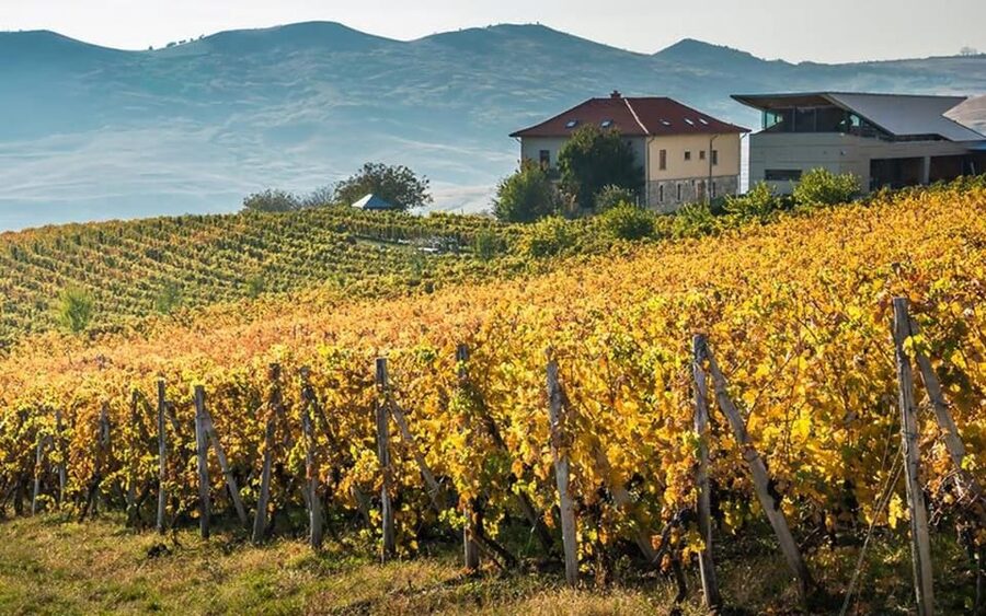 From Bucharest: Exclusive Dealu Mare Wine Tasting Tour - Lacerta Winery: A Modern Facility With Gravity-Driven Winemaking