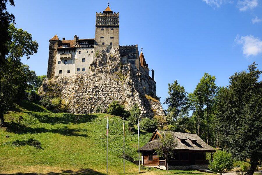 From Bucharest: Libearty Bear Sanctuary and Dracula's Castle - Libearty Bear Sanctuary near Zarnesti, 69 hectares and 90+ brown bears