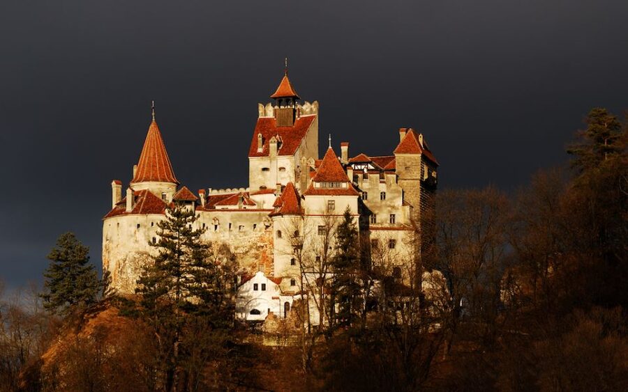 From Bucharest: Peleș and Bran Castles Private Tour - Key Highlights You Can Actually Use
