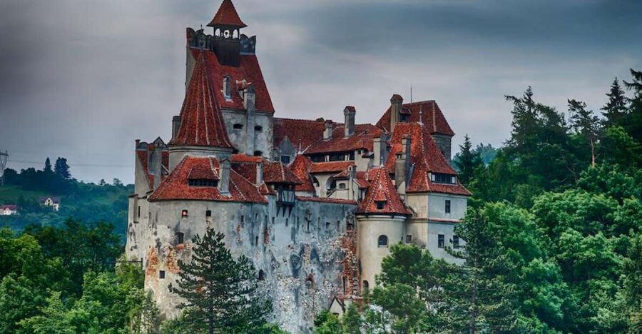 From Bucharest: Peleș and Bran Castles Private Tour - Guide and Driver Quality, What to Watch For