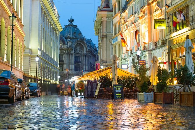 Full-Day Bucharest City Tour - Village Museum (Dimitrie Gusti) for One Focused Hour