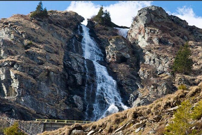 Hike to Poenari Fortress, Vidraru Dam, Argeș Monastery - Private - The mountain-road factor: where the day can turn into an animal-spotting bonus