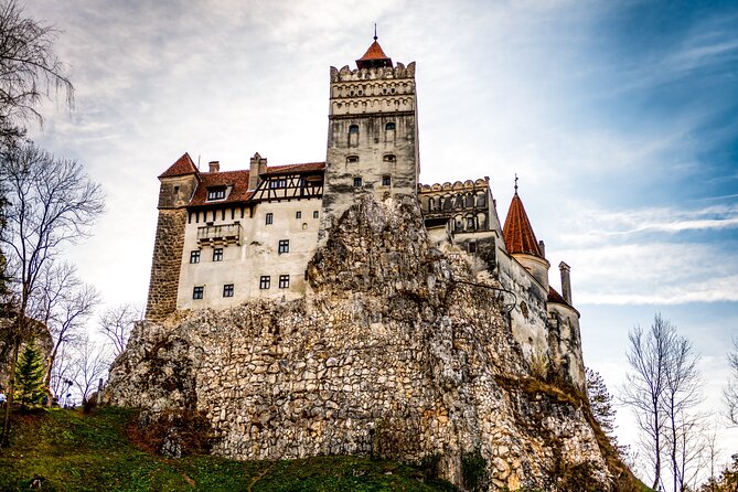 Legends&Wildlife Awaits: Dracula's Castle & Bear Sanctuary - A 7 to 8 Hour Day That Links Bears and Bran Castle