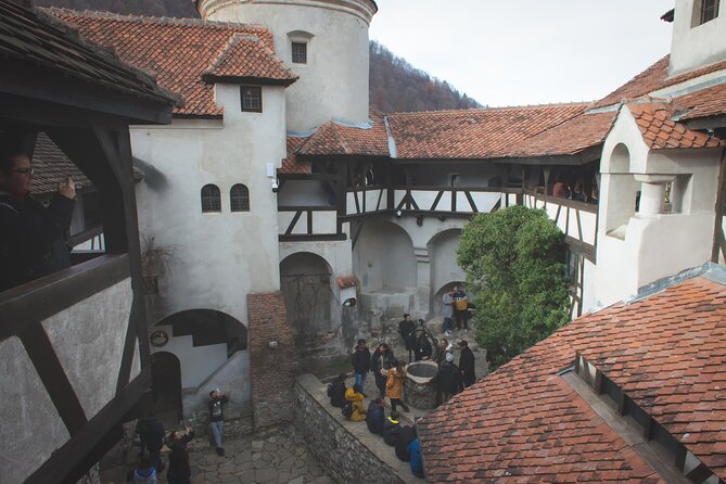 Legends&Wildlife Awaits: Dracula's Castle & Bear Sanctuary - Pickup, Small Group Size, and the Comfort Stuff That Matters