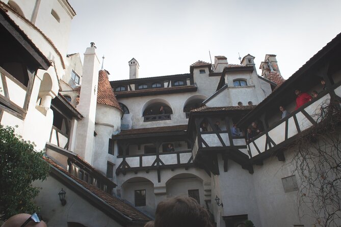 Legends&Wildlife Awaits: Dracula's Castle & Bear Sanctuary - Liberty Bear Sanctuary Zarnesti: 69 Hectares of Real Space