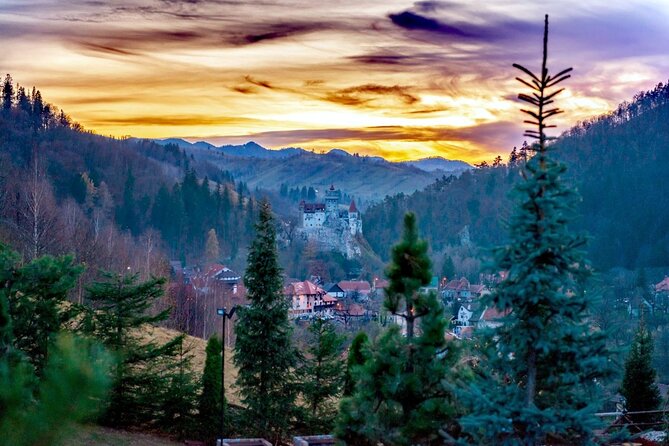 Legends&Wildlife Awaits: Dracula's Castle & Bear Sanctuary - Who This Tour Fits Best
