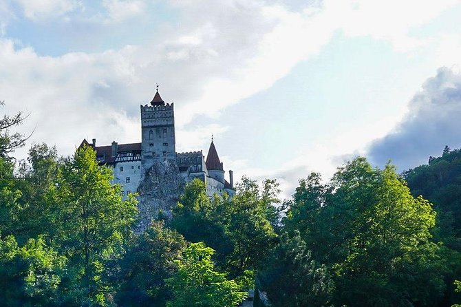 Libearty Bear Sanctuary and Dracula's Castle - Day Tour from Bucharest - Timing and comfort: how the long drive should feel