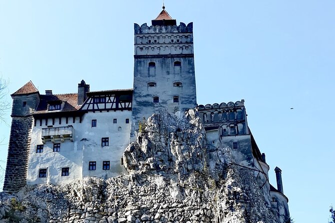 Libearty Bear Sanctuary and Dracula's Castle - Day Tour from Bucharest - Best for who: animal lovers, castle fans, and solo planners