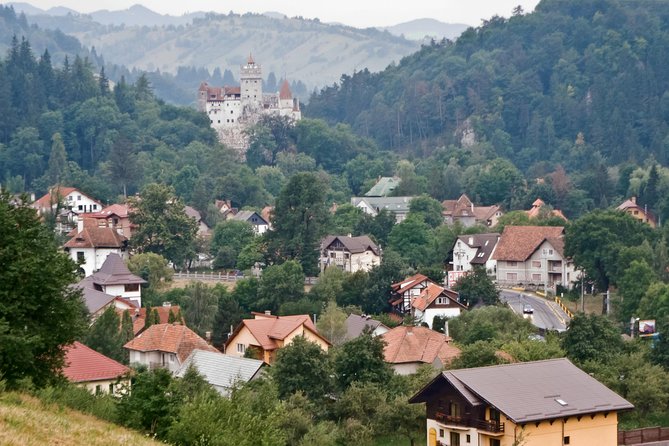 Libearty Bear Sanctuary and Dracula's Castle - Day Tour from Bucharest - Guides and group size: why max 7 matters