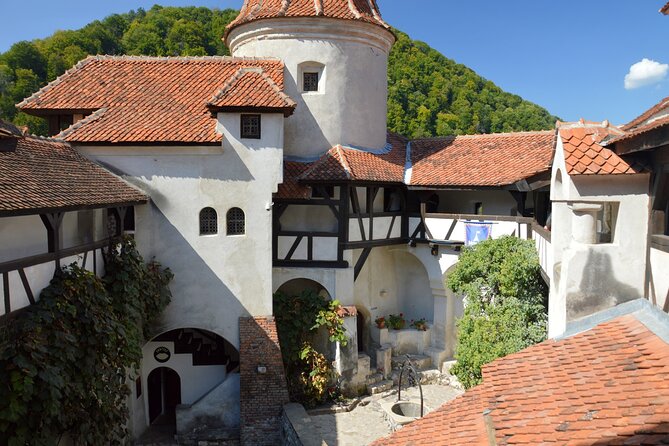 One Day Private Tour to Peles and Dracula Castles & Brasov City - Why this Peles, Bran, and Brasov private day trip is such a strong use of your time
